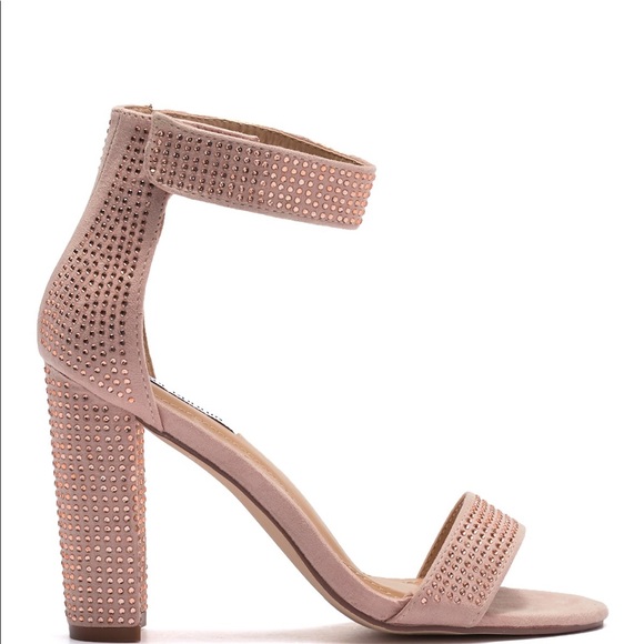 Cape robbin - Picture 3 of 4